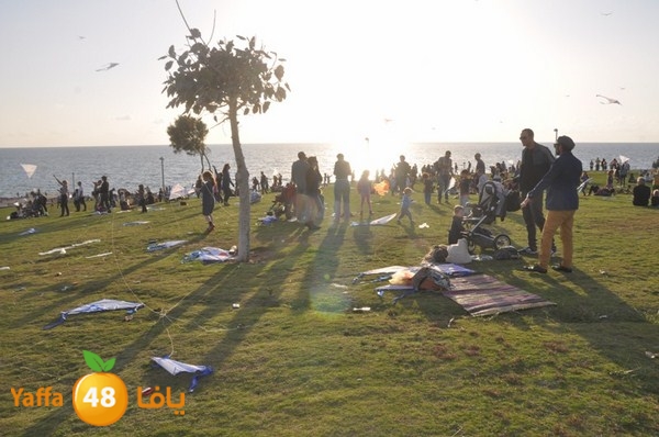 tayarat waraq (24).JPG